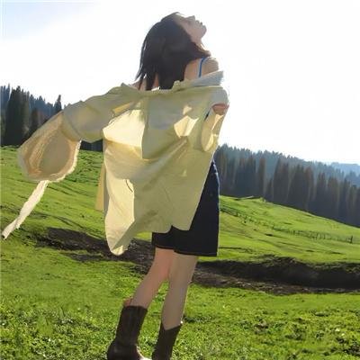 鸟与蜜蜂